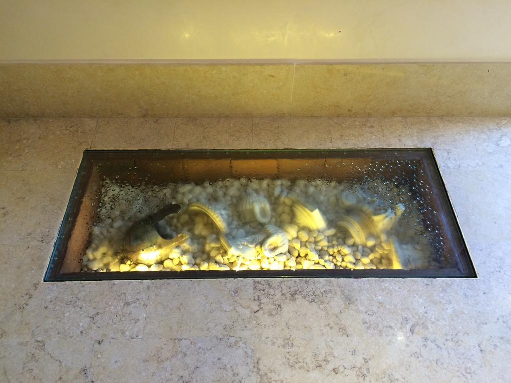 רומא Hotel Elide מראה חיצוני תמונה